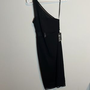 Express Dress w Mesh